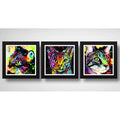 Set 3 Cuadros Gato Pop Art Colors Mascota Pet Decoracion