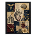 Cuadro Médico Anatomia Cuerpo Humano Elementos Botánicos Marco Negro