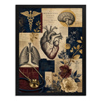 Cuadro Médico Anatomia Cuerpo Humano Elementos Botánicos Marco Negro