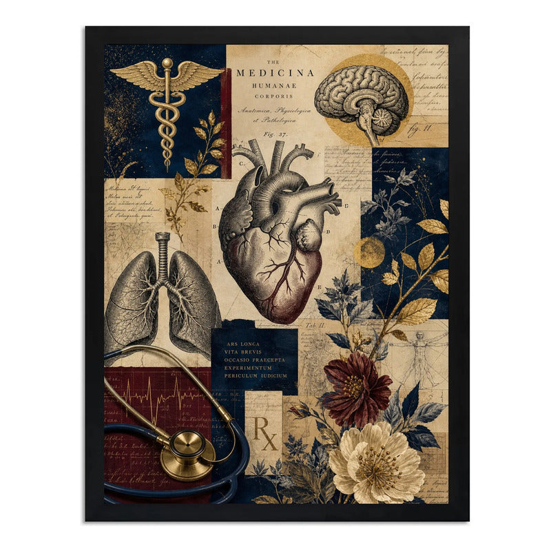 Cuadro Médico Anatomia Cuerpo Humano Elementos Botánicos Marco Negro