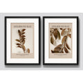 Set 2 Cuadros Living Tonos Marron Hojas 53x43cm Con Paspartu Marco Negro