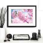 Cuadro Cerezo Sakura Flores Arte Japones Arbol Con Paspartú Cerezo Sakura 3 Con Marco Negro