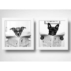 Set 2 Cuadros Perro Baño Mascota Diario Decoracion Pet Brs03