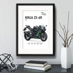 Cuadro Moto Motocicleta Modelos Marcas Con Paspartu Kawasaki Zx-6r Supersport Negro