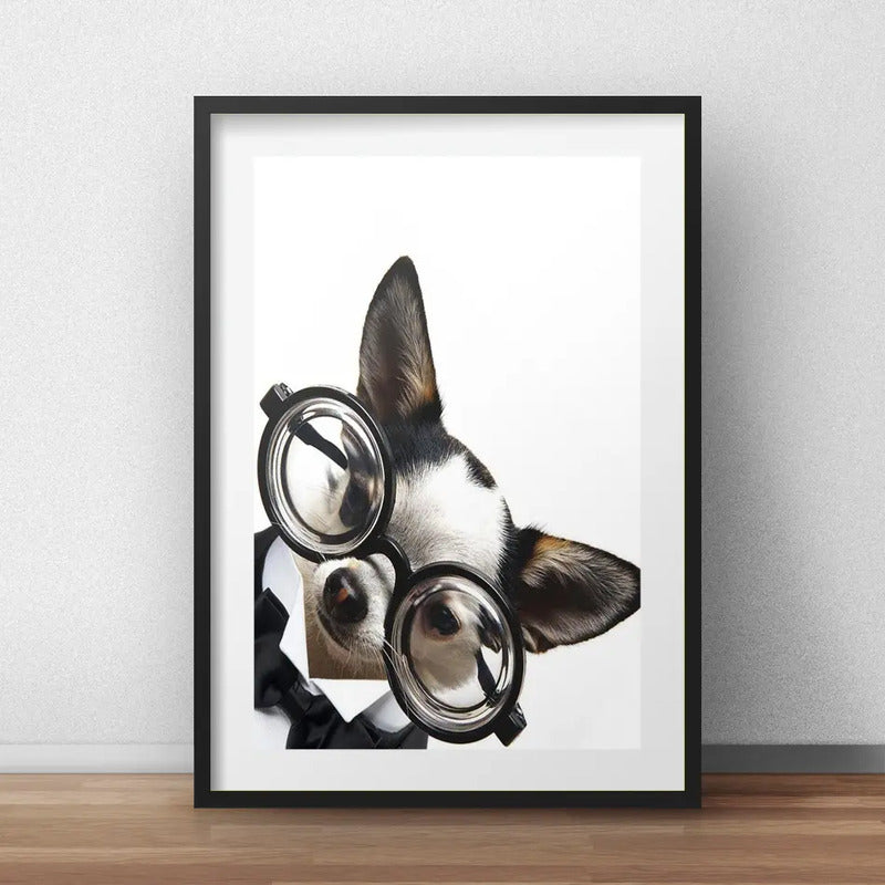 Cuadro Chihuahua Perro Gafas Optica Decoracion Con Paspartú Marco Negro