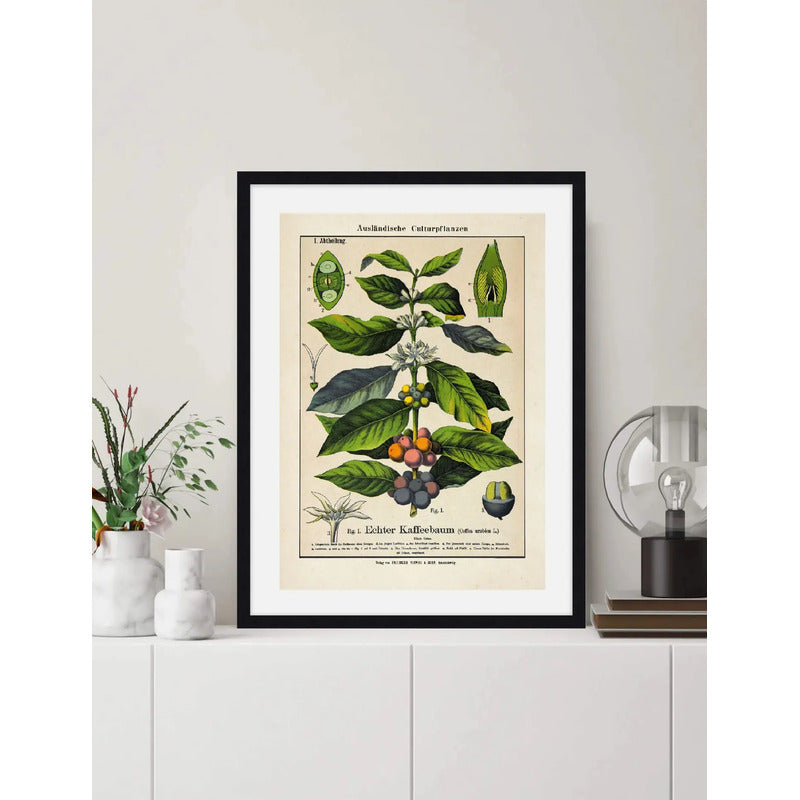 Cuadro Café Coffee Verde Arabica Hojas Retro Decoracion Green Coffee Con Marco Negro