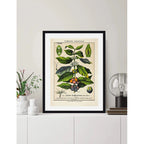 Cuadro Café Coffee Verde Arabica Hojas Retro Decoracion Green Coffee Con Marco Negro