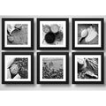 Set 6 Cuadros Agronegocios Soja Arroz Maíz Café Trigo 33x33 Marco Negro