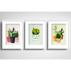 Set 3 Cuadros Cactus Suculentas Pop Art Decoracion Paspartú