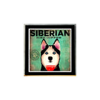 Cuadro Perro Cafe Pop Art Todas Razas Mascota Pet Decoracion