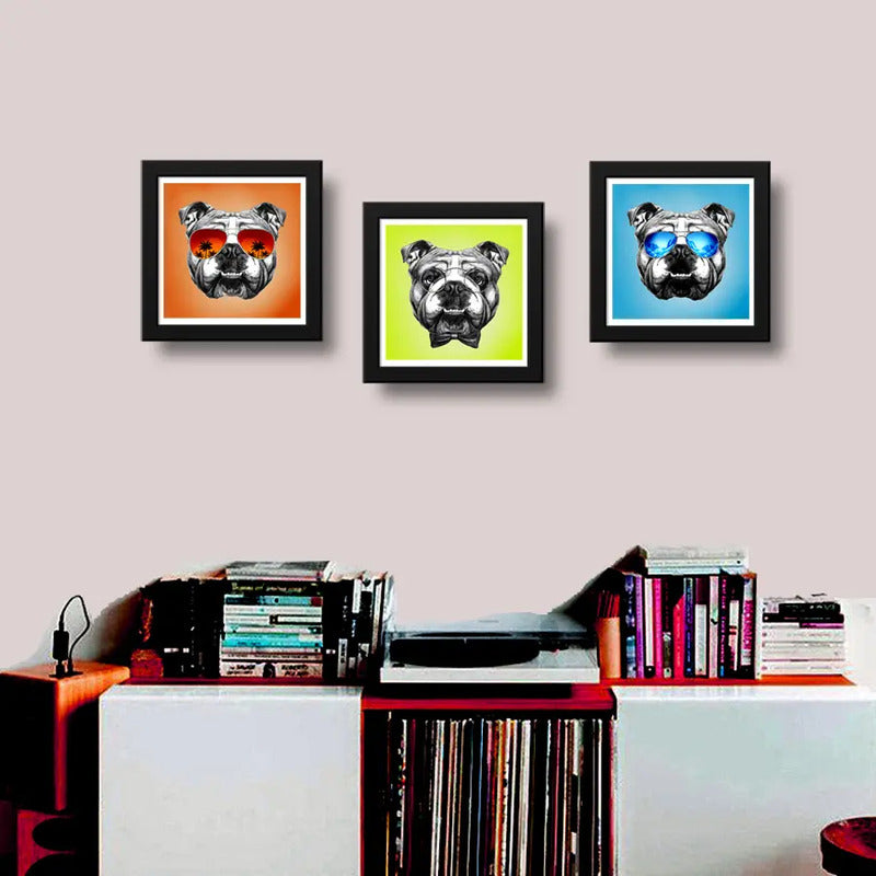 Set 3 Cuadros Perro Bulldog Pop Art Mascota Pet Decoracion
