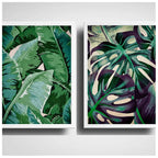 Set 2 Cuadros Hojas Plantas Monstera Botanico Decoracion
