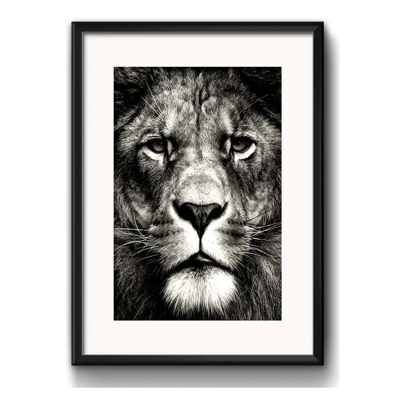 Cuadro León Blanco Y Negro Animales Decoracion Con Paspartú Marco Negro