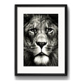 Cuadro León Blanco Y Negro Animales Decoracion Con Paspartú Marco Negro