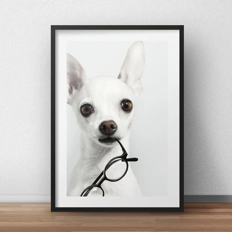 Cuadro Chihuahua Perro Gafas Mascota Decoracion Con Paspartú Marco Negro