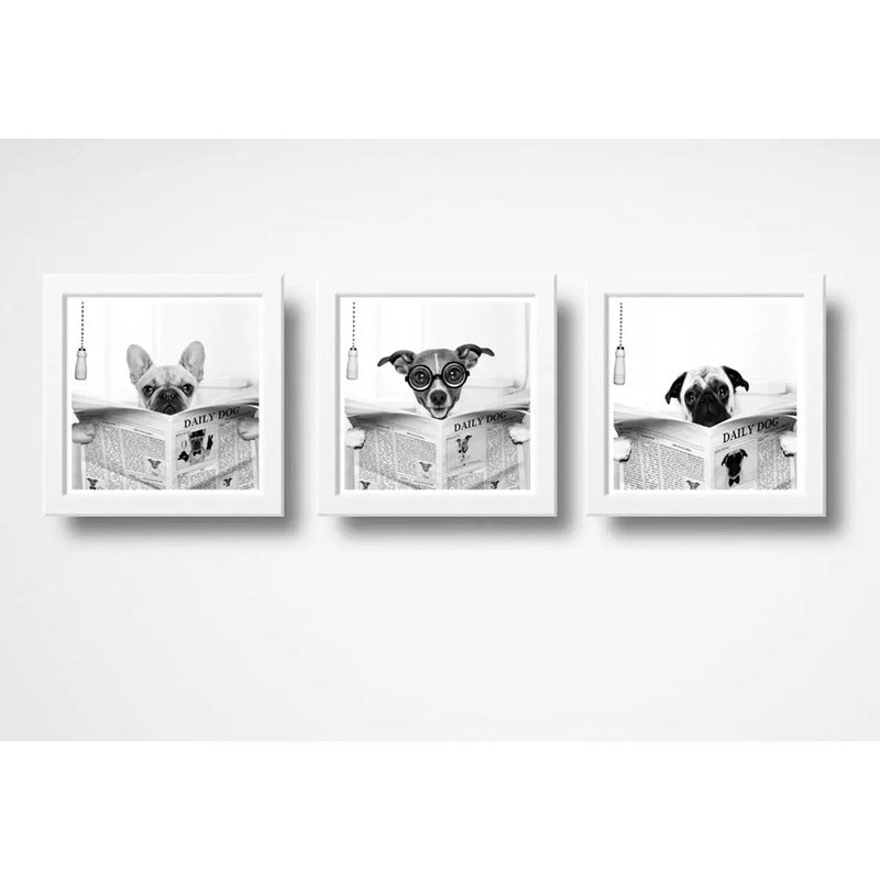 Set 3 Cuadros Perro Baño Decoracion Mascotas Pet Veterinaria