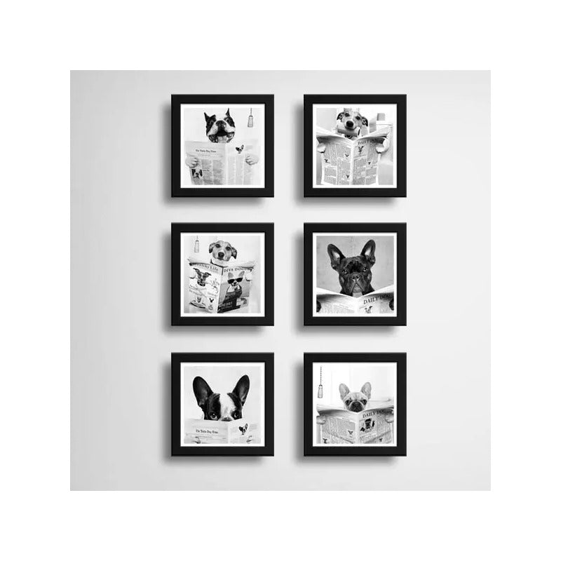 Set 6 Cuadros Perro Baño Decoracion Mascota Pet Veterinaria