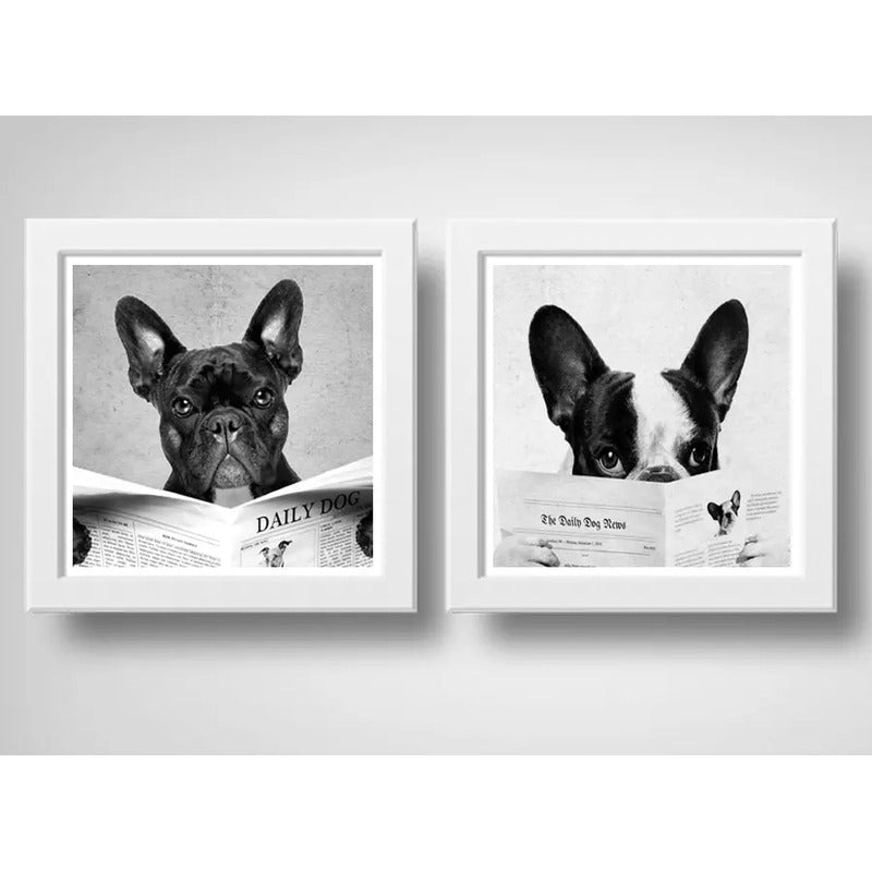 Set 2 Cuadros Perro Baño Mascota Diario Decoracion Pet Brs10
