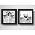Set 2 Cuadros Perro Baño Mascota Diario Decoracion Pet Brs13