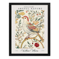 Cuadro Dormitorio Living William Morris Pajaro Botanica Arte Marco Negro