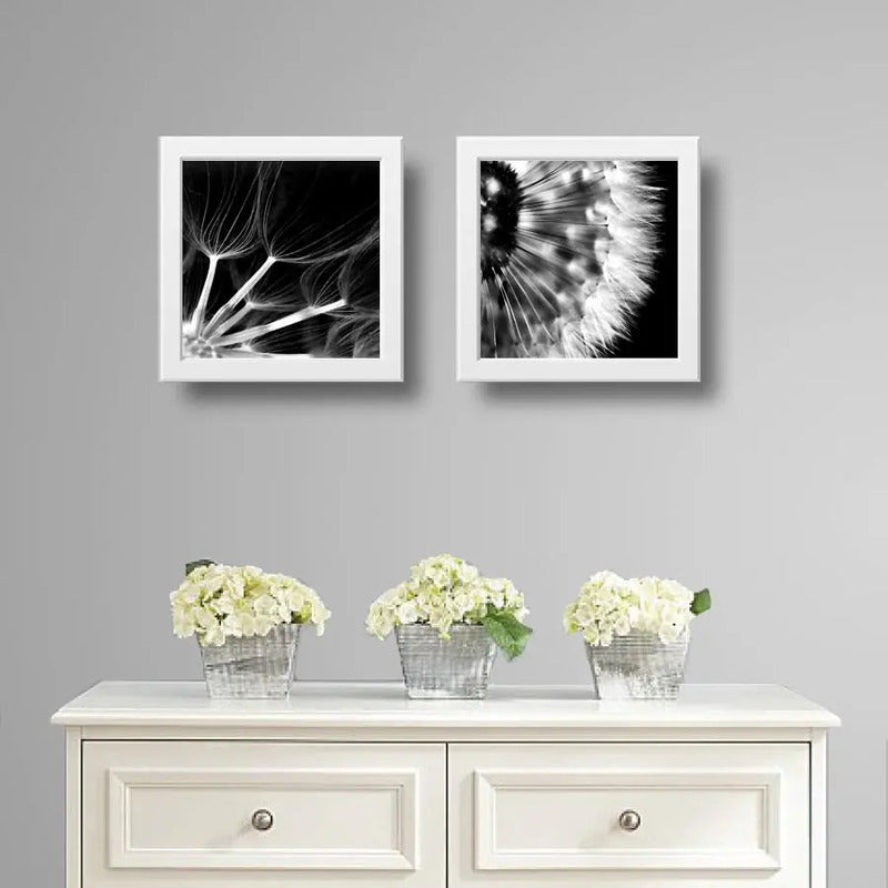 Set 2 Cuadros Flor Diente De Leon Blanco Y Negro Taraxacum