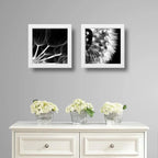 Set 2 Cuadros Flor Diente De Leon Blanco Y Negro Taraxacum