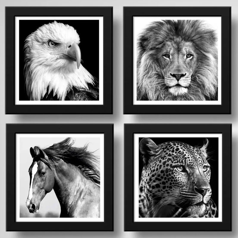 Set 4 Cuadros León Águila Caballo Leopardo En Blanco Y Negro