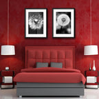 Set 2 Cuadros Diente De Leon Flores Blanco Y Negro Paspartú