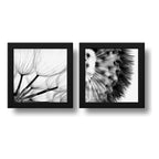 Set 2 Cuadros Flores Diente De Leon Blanco Y Negro Arte