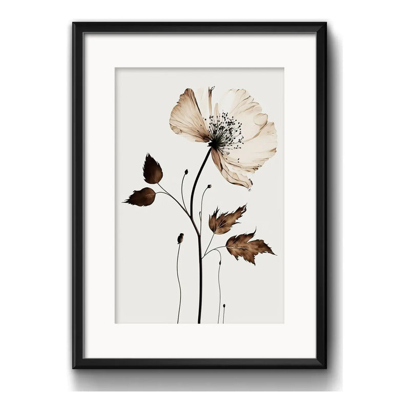 Cuadro Flores Hojas Secas Botanica Decoracion Con Paspartú Flor De Cafe The Coffee Flower Con Marco Negro