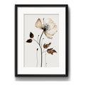 Cuadro Flores Hojas Secas Botanica Decoracion Con Paspartú Flor De Cafe The Coffee Flower Con Marco Negro
