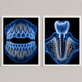 Set 2 Cuadros Temática Odontológica Dentista Consultorio Br2 Marco Blanco