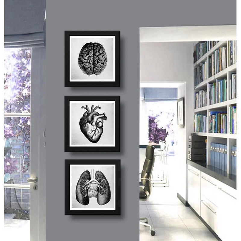 Set 3 Cuadros Anatomia Medico Corazón Cerebro Pulmón 33x33cm Marco Negro