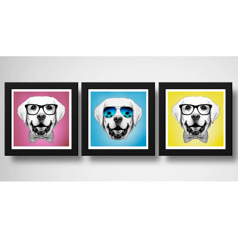 Set 3 Cuadros Perro Labrador Retriever Pop Art Pet Mascota