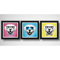 Set 3 Cuadros Perro Labrador Retriever Pop Art Pet Mascota