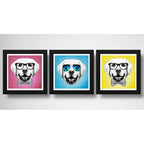 Set 3 Cuadros Perro Labrador Retriever Pop Art Pet Mascota