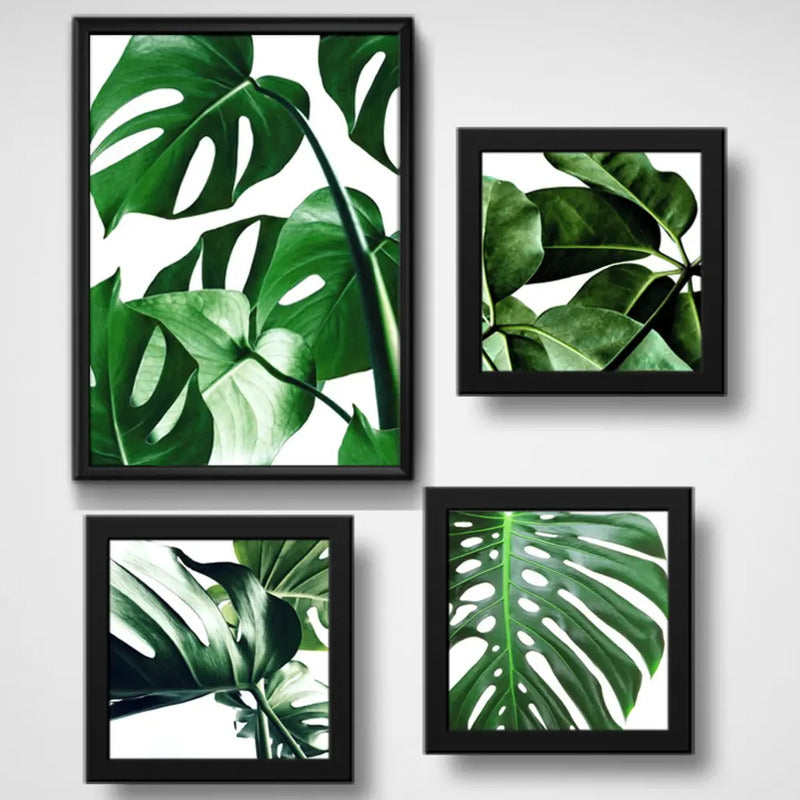 Set 4 Cuadros Hojas Plantas Monstera Botanico Br1 Decoracion
