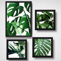 Set 4 Cuadros Hojas Plantas Monstera Botanico Br1 Decoracion