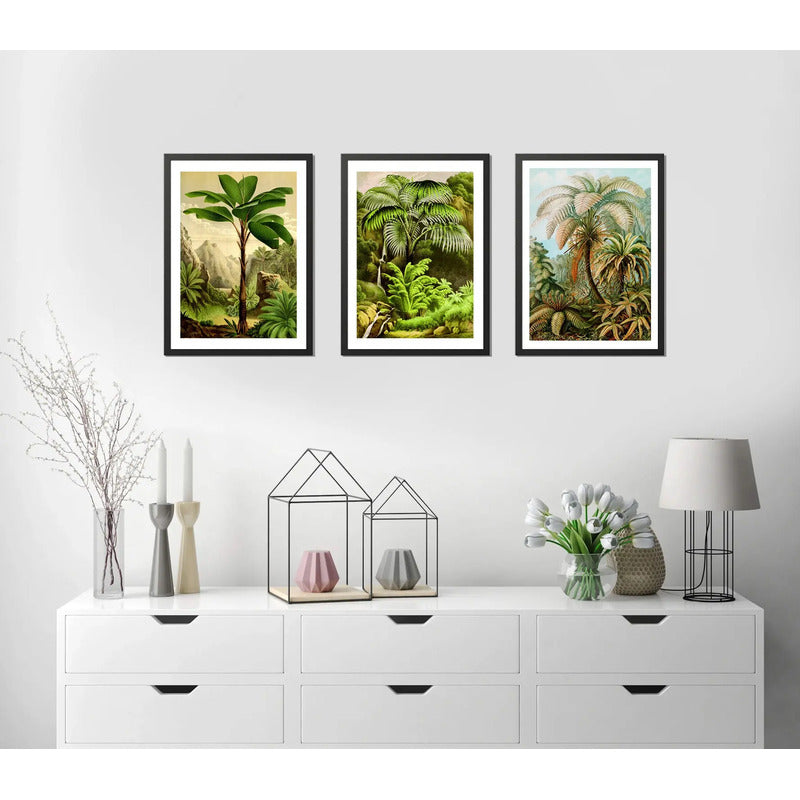 Set 3 Cuadros Arboles Vida Arte Colores Naturaleza Botanica Marco Negro