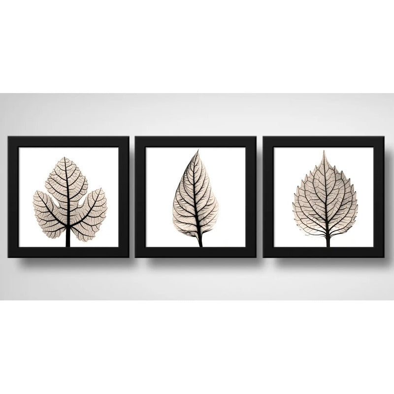 Set 3 Cuadros Hojas Minimalista Nude Floral Brs1 33x33cm Marco Negro