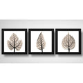 Set 3 Cuadros Hojas Minimalista Nude Floral Brs1 33x33cm Marco Negro