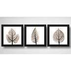 Set 3 Cuadros Hojas Minimalista Nude Floral Brs1 33x33cm Marco Negro