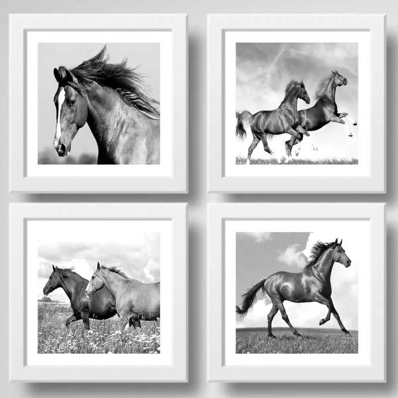 Set 4 Cuadros Caballos Decoracion Hogar Granja Equitacion