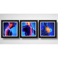 Set 3 Cuadros Ortopedia Rayos X Cuerpo Humano Clinica Medica