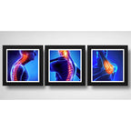 Set 3 Cuadros Ortopedia Rayos X Cuerpo Humano Clinica Medica