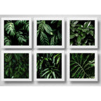 Set 6 Cuadros Hojas Plantas Verdes Decoracion Botanico