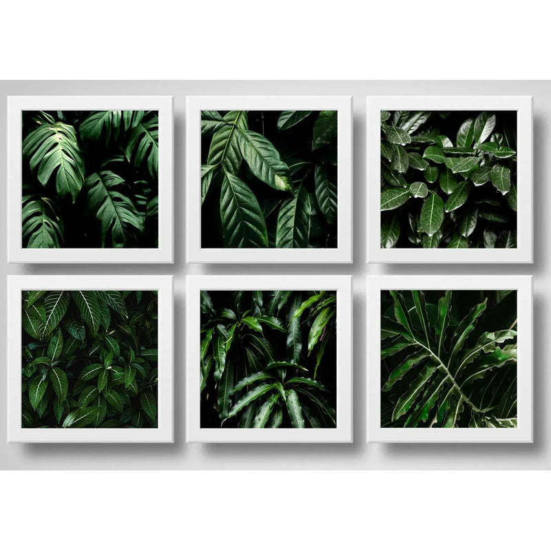 Set 6 Cuadros Hojas Plantas Verdes Decoracion Botanico