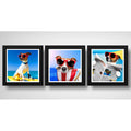 Set 3 Cuadros Perro Playa Surf Mascota Pet Arte Decoracion