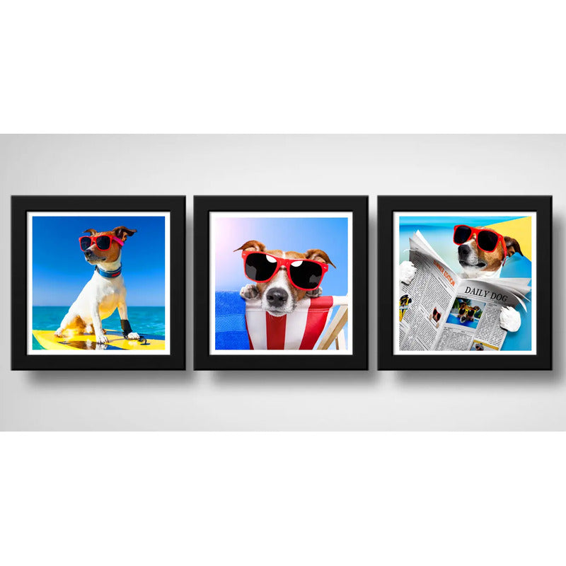 Set 3 Cuadros Perro Playa Surf Mascota Pet Arte Decoracion