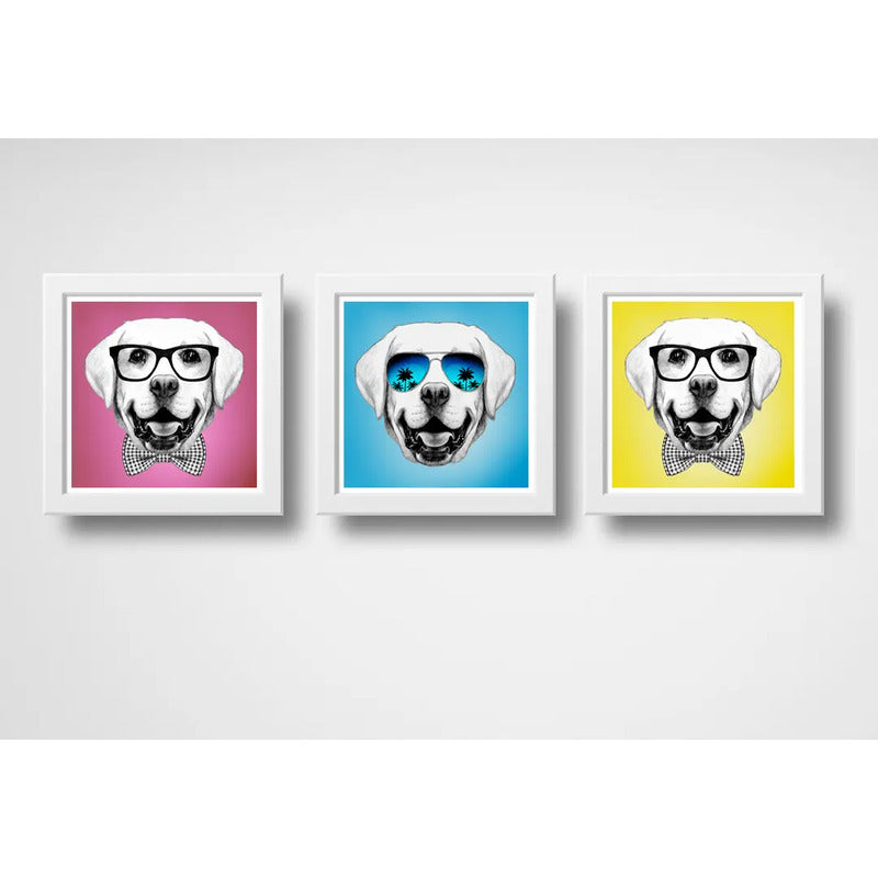 Set 3 Cuadros Perro Labrador Retriever Pop Art Pet Mascota